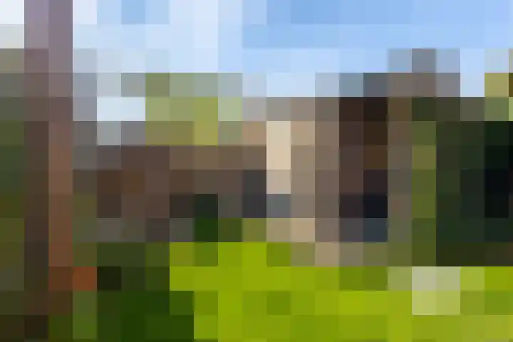 Bastiaan Bosstraat 20 Lexmond thumbnail 31