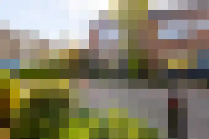 Bastiaan Bosstraat 20 Lexmond thumbnail 34
