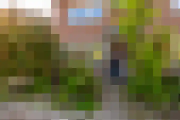 Bastiaan Bosstraat 20 Lexmond thumbnail 6