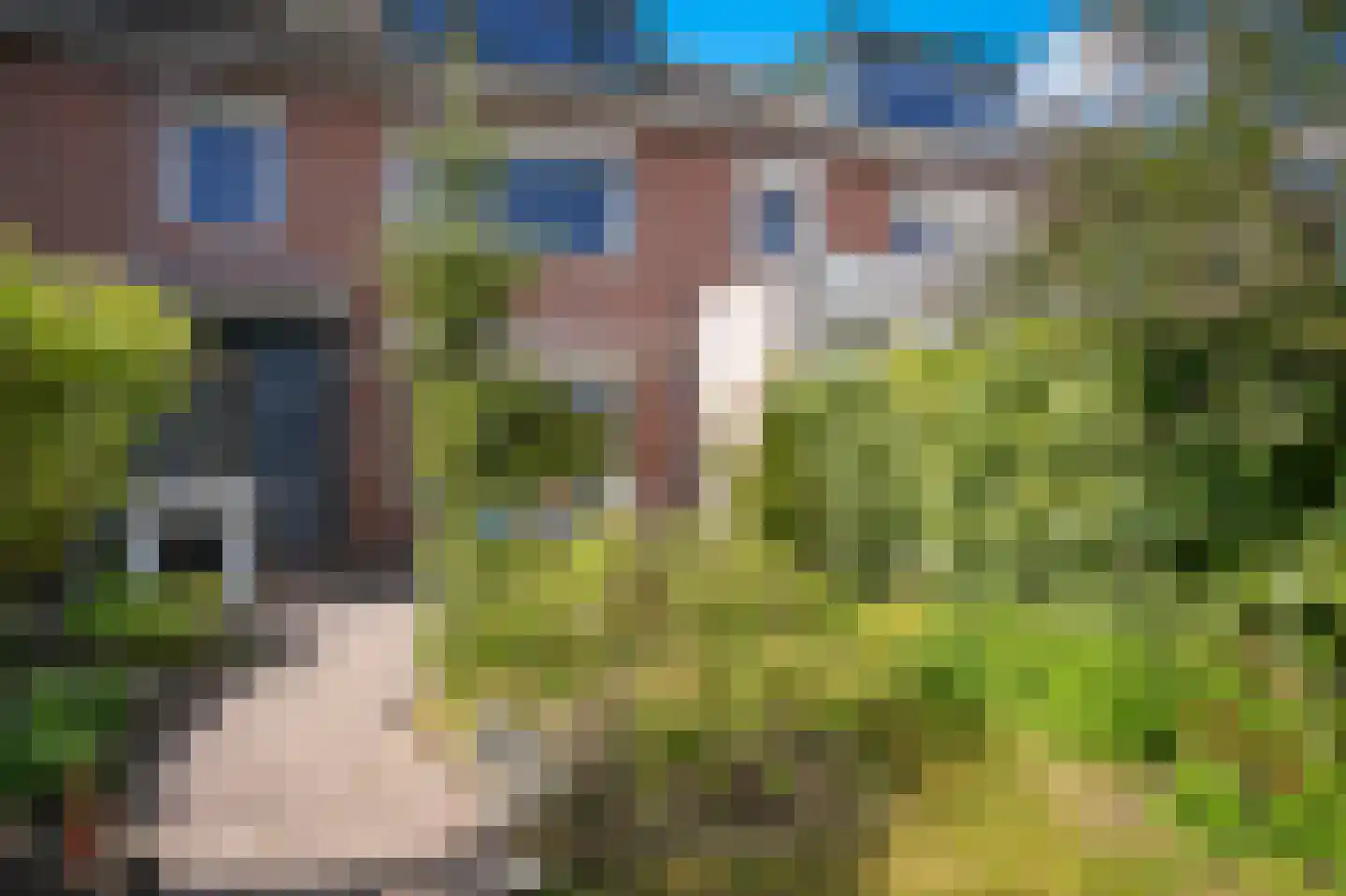 Bastiaan Bosstraat 24 Lexmond thumbnail 22