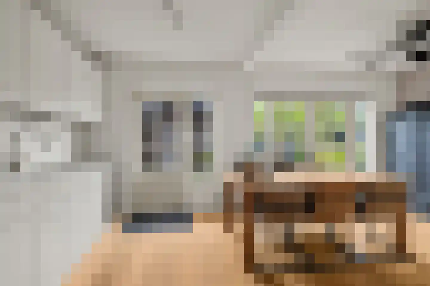 Bastiaan Bosstraat 34 Lexmond thumbnail 17