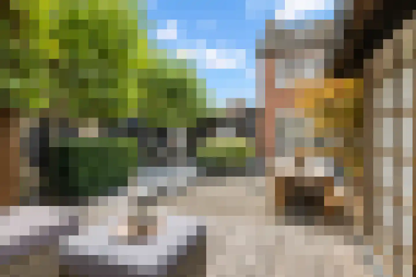 Bastiaan Bosstraat 34 Lexmond thumbnail 26