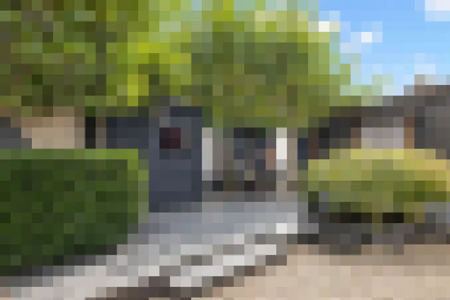 Bastiaan Bosstraat 34 Lexmond thumbnail 29