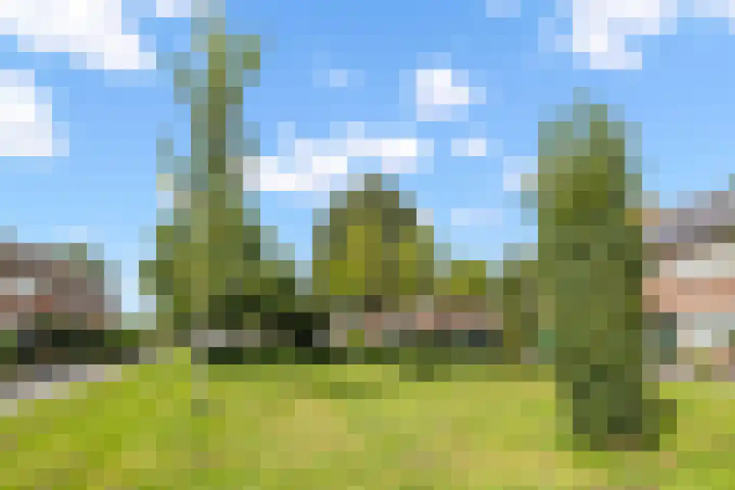 Bastiaan Bosstraat 34 Lexmond thumbnail 5