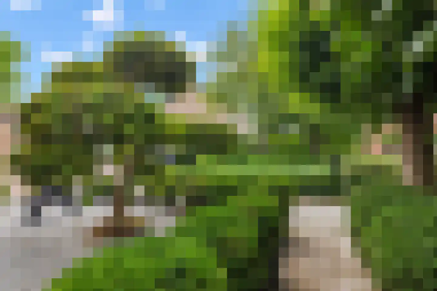 Bastiaan Bosstraat 34 Lexmond thumbnail 8