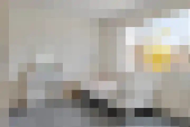 Bastiaan de Langestraat 11 Veere thumbnail 10