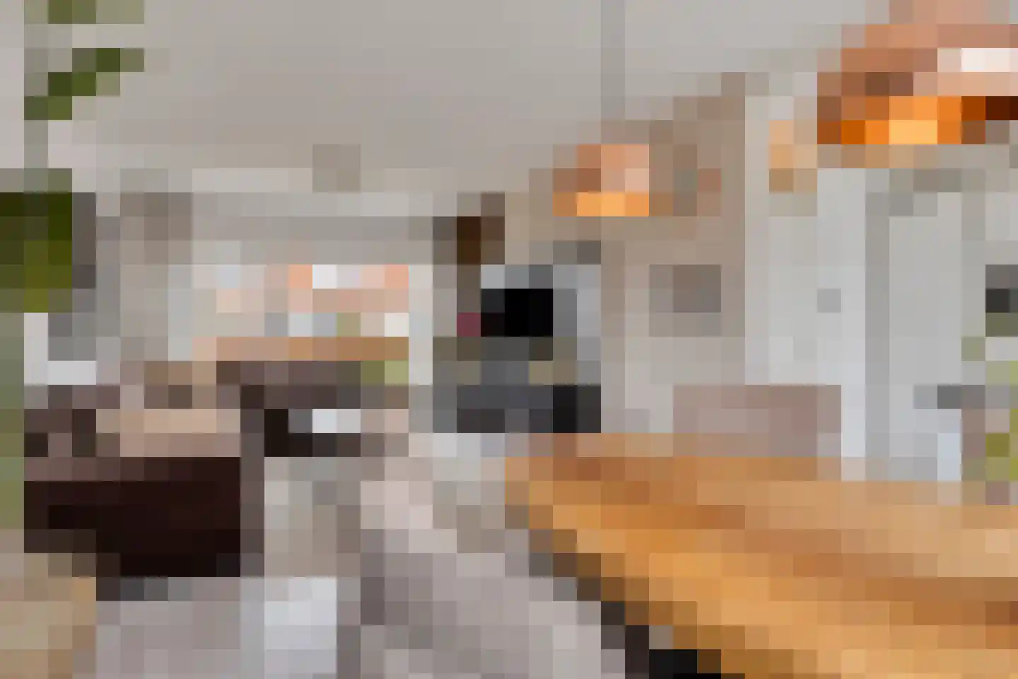 Bastiaan de Langestraat 23 Veere thumbnail 12