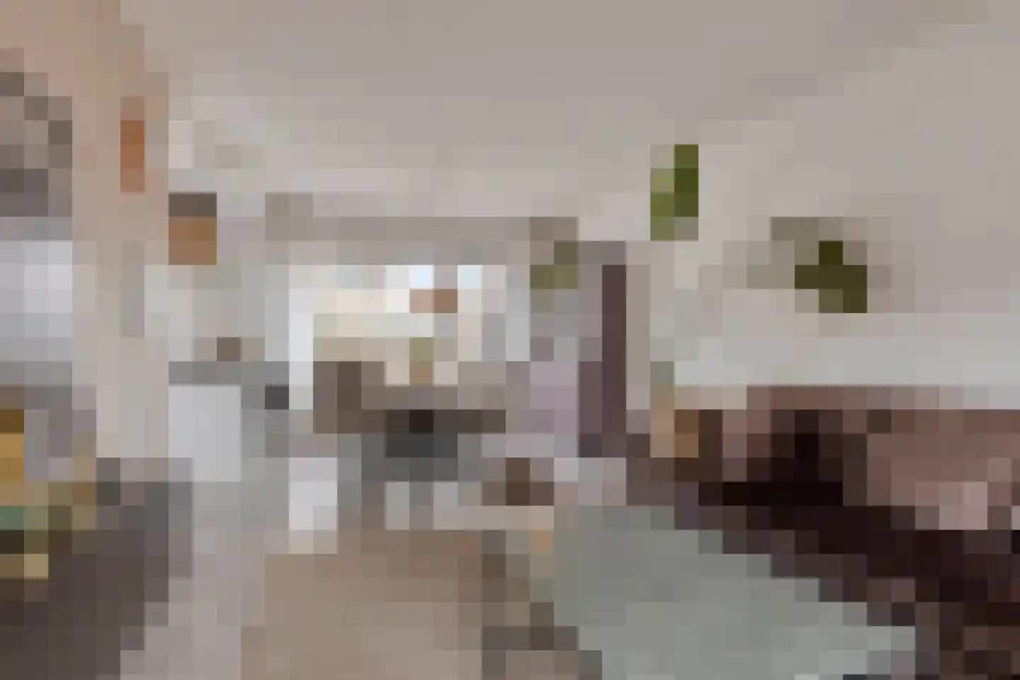Bastiaan de Langestraat 23 Veere thumbnail 13