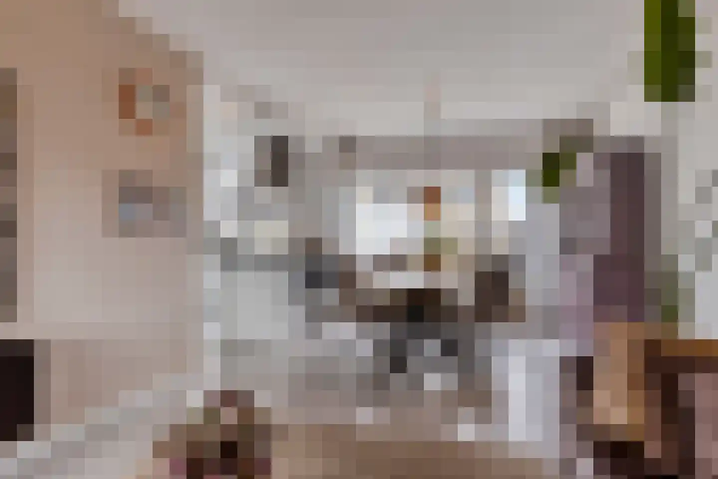 Bastiaan de Langestraat 23 Veere thumbnail 14