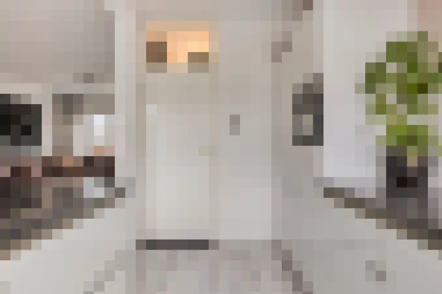Bastiaan de Langestraat 23 Veere thumbnail 17
