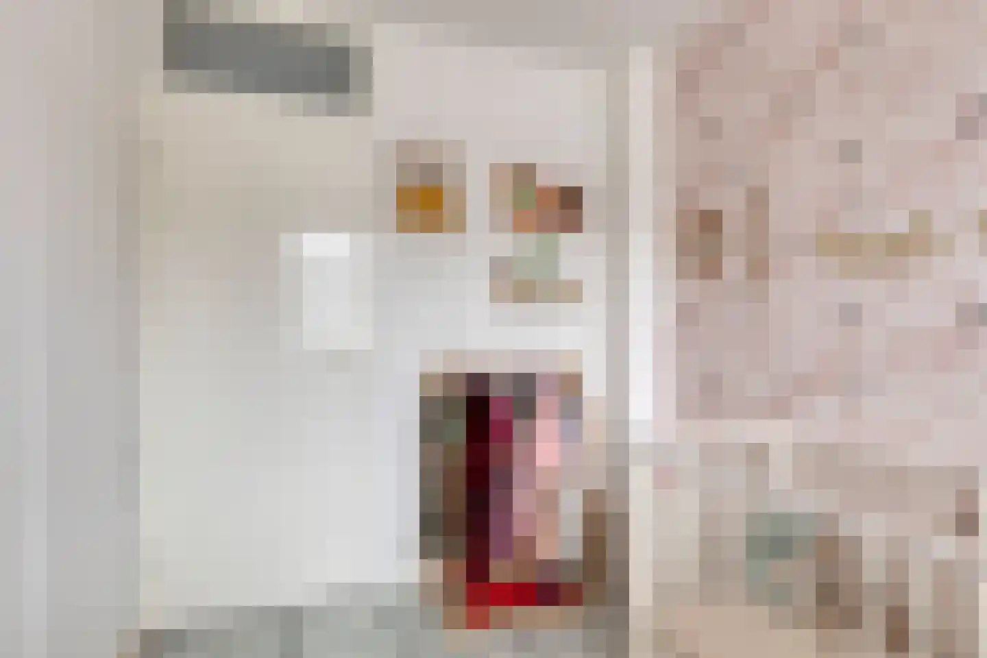 Bastiaan de Langestraat 23 Veere thumbnail 22