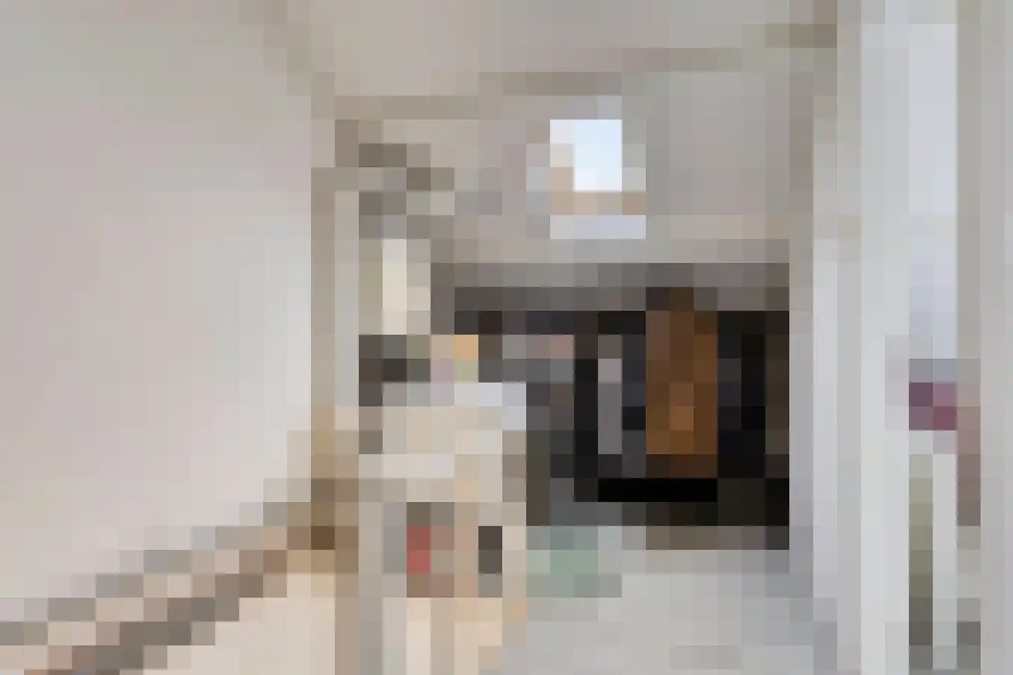 Bastiaan de Langestraat 23 Veere thumbnail 30