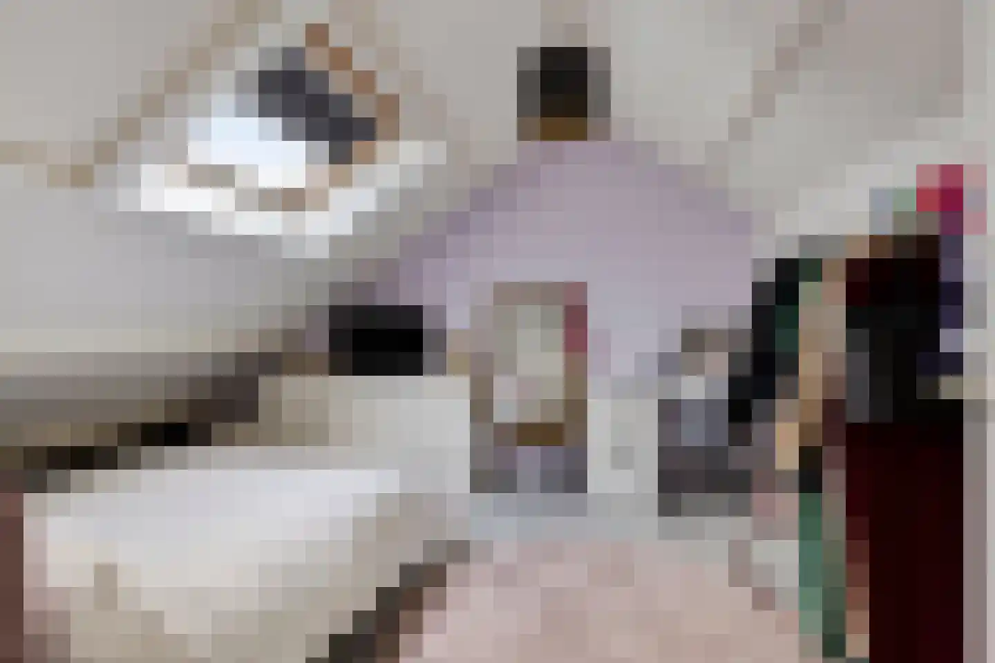 Bastiaan de Langestraat 23 Veere thumbnail 32
