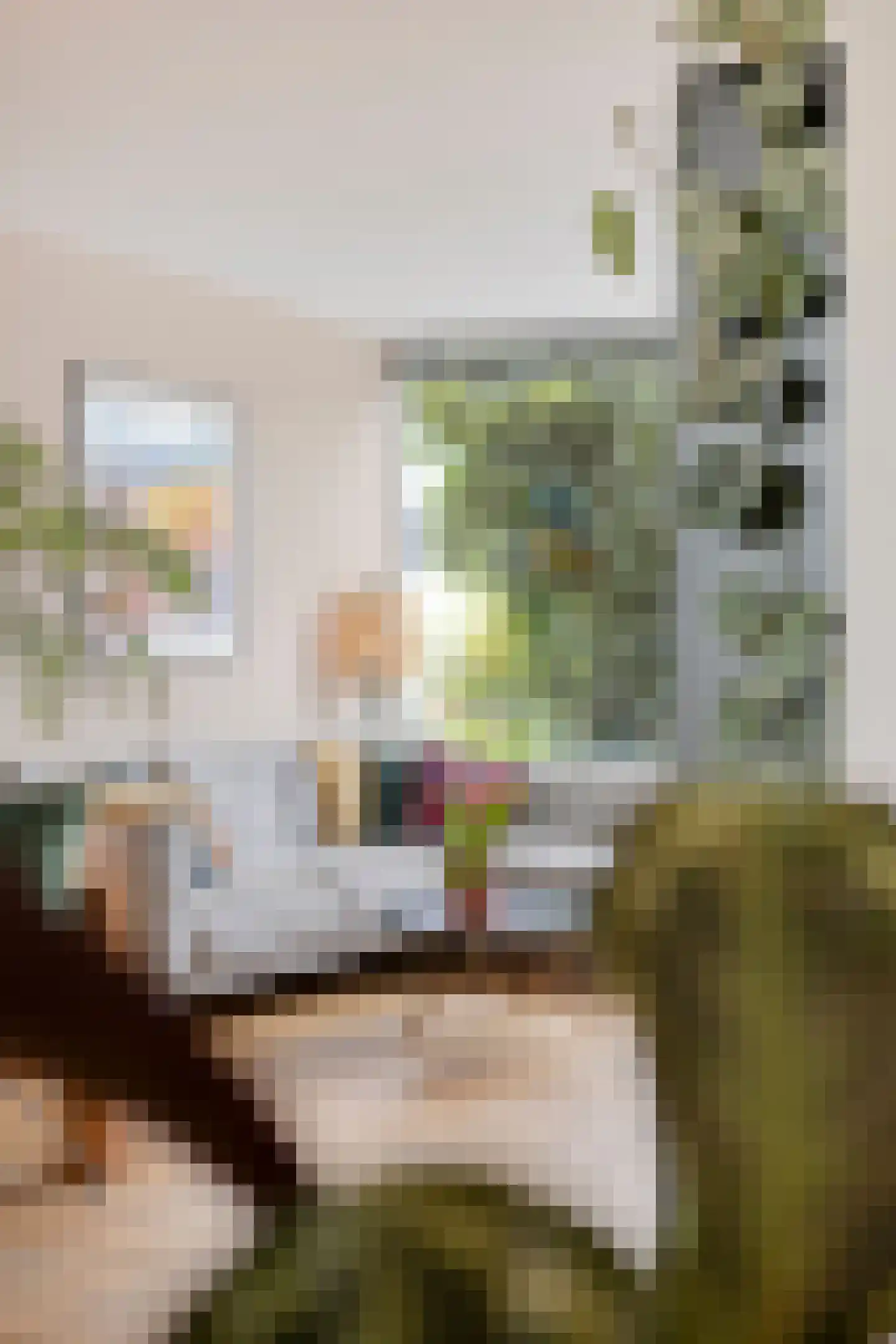 Bastiaan de Poorterstraat 20 Rosmalen thumbnail 11