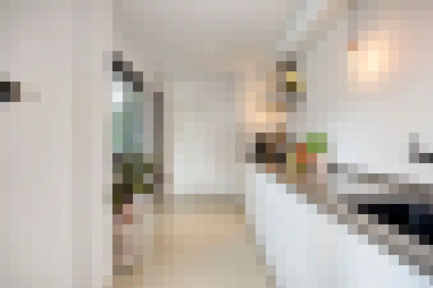 Bastiaan de Poorterstraat 20 Rosmalen thumbnail 14