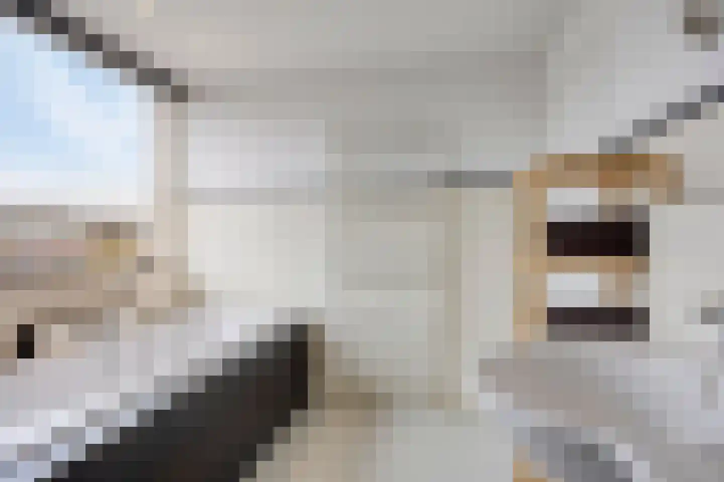 Bastiaan de Poorterstraat 20 Rosmalen thumbnail 28