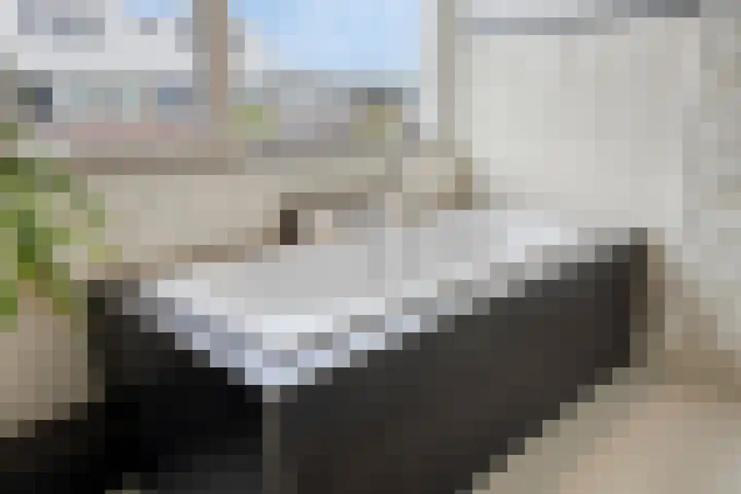 Bastiaan de Poorterstraat 20 Rosmalen thumbnail 29