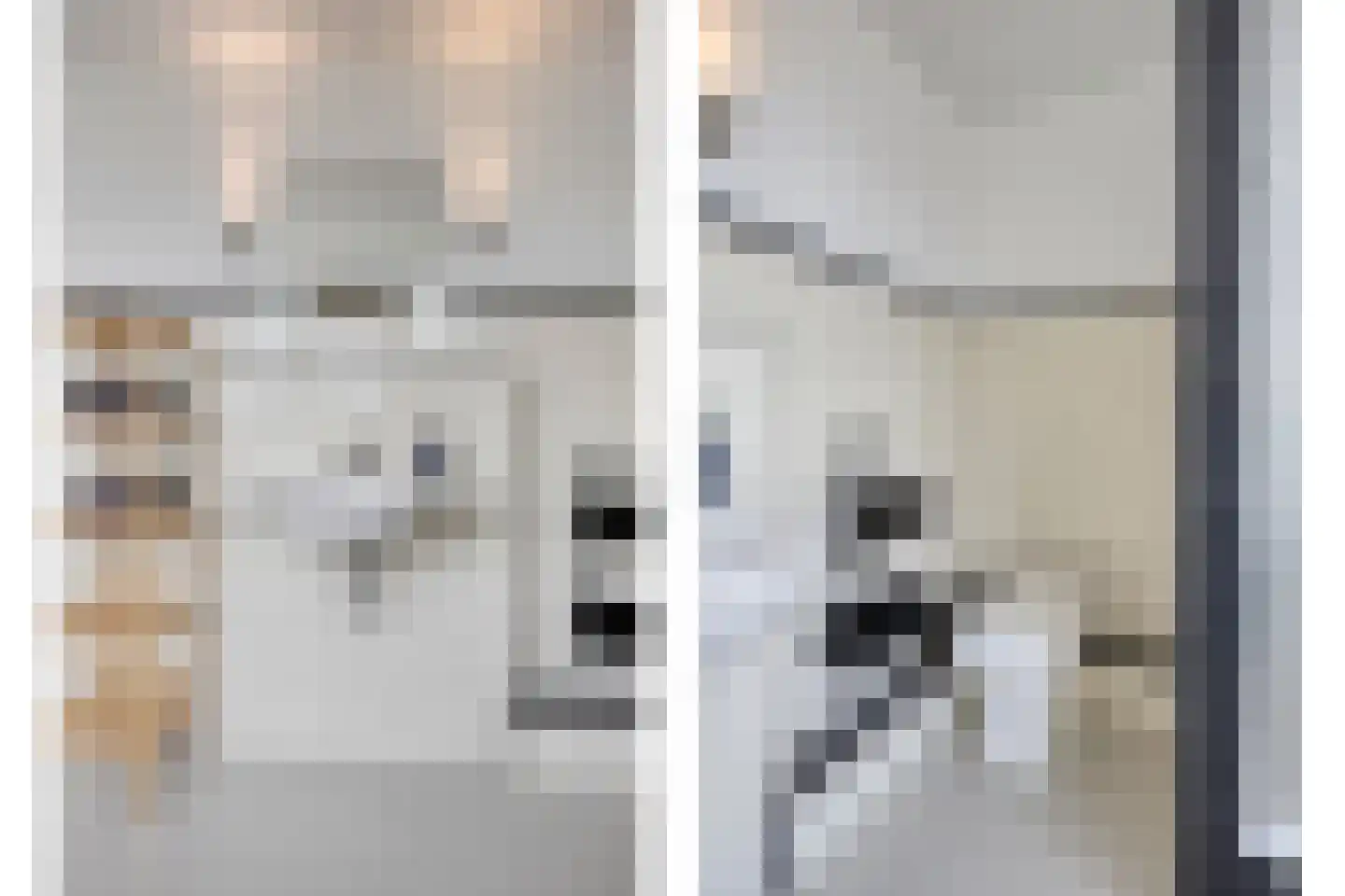 Bastiaan de Poorterstraat 20 Rosmalen thumbnail 30