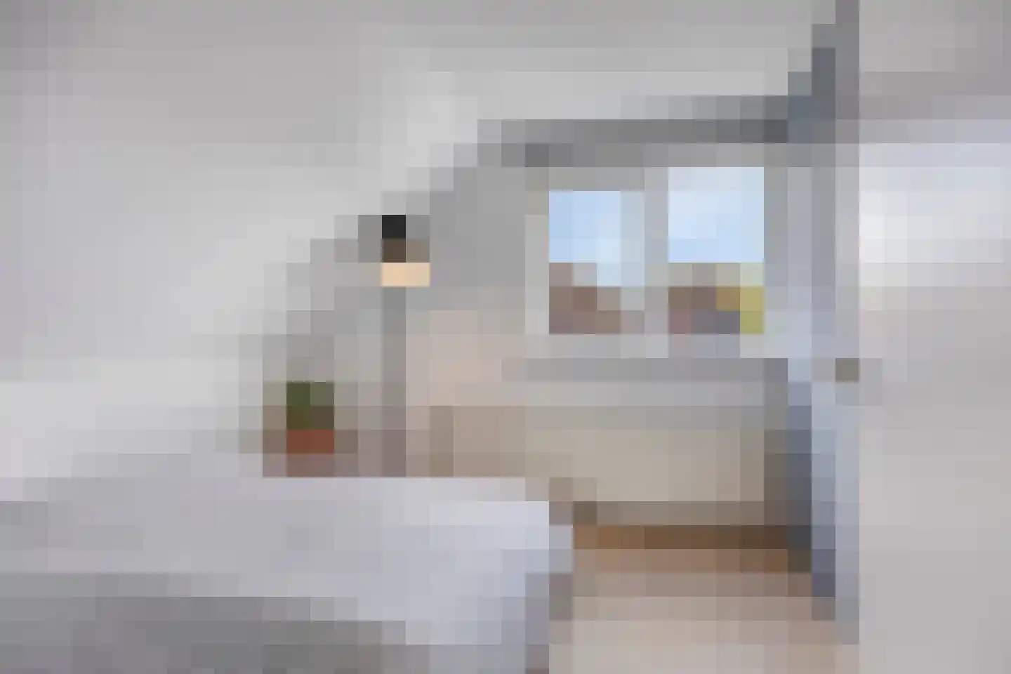 Bastiaan de Poorterstraat 20 Rosmalen thumbnail 36