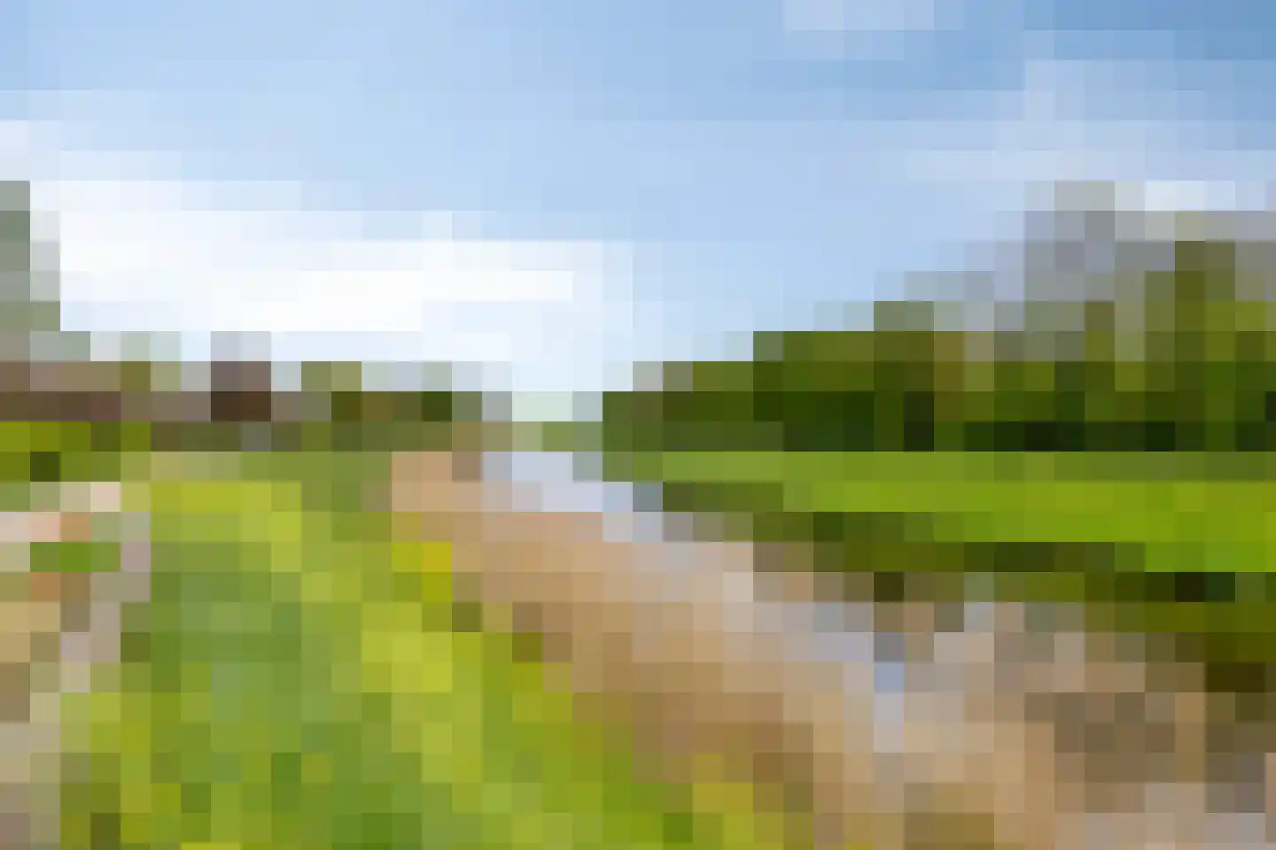Bastiaan de Poorterstraat 20 Rosmalen thumbnail 50