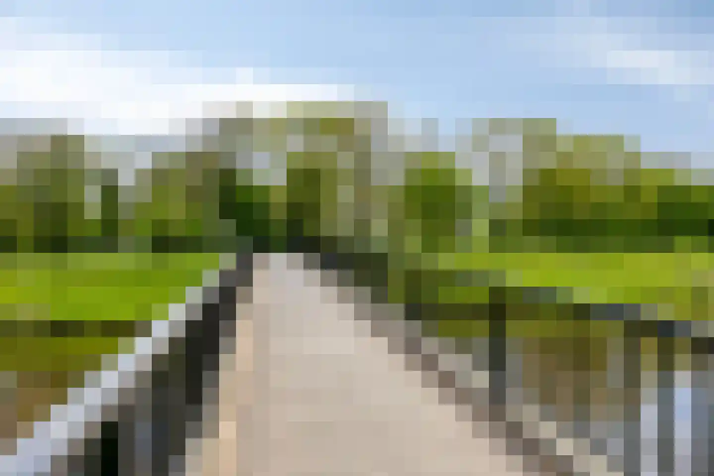 Bastiaan de Poorterstraat 20 Rosmalen thumbnail 51