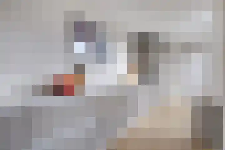 Bastiaan de Poorterstraat 4 Rosmalen thumbnail 12