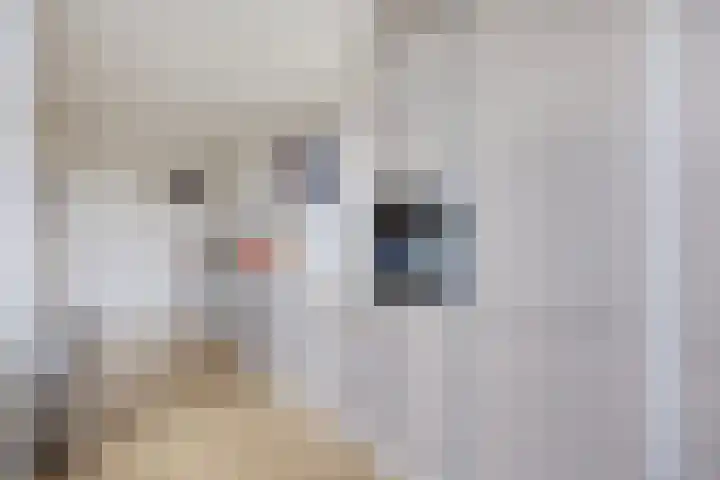 Bastiaan de Poorterstraat 4 Rosmalen thumbnail 14