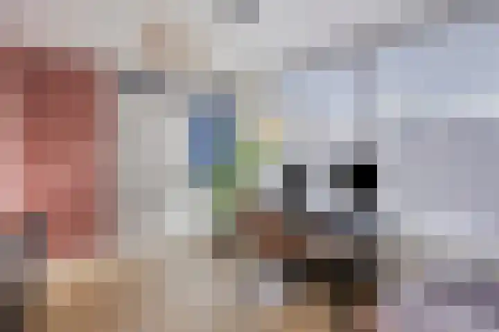 Bastiaan de Poorterstraat 4 Rosmalen thumbnail 16