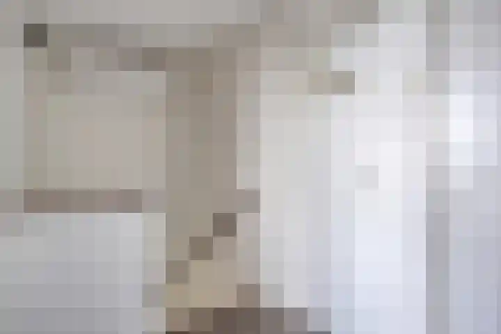 Bastiaan de Poorterstraat 4 Rosmalen thumbnail 21