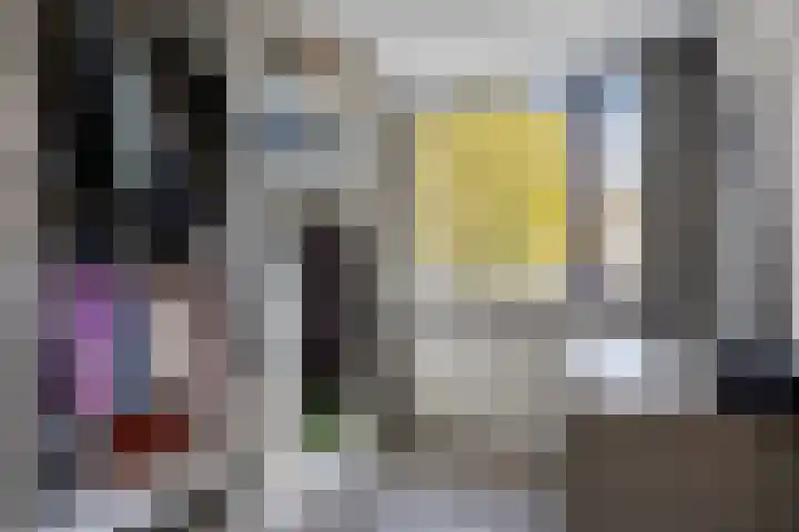 Bastiaan de Poorterstraat 4 Rosmalen thumbnail 27