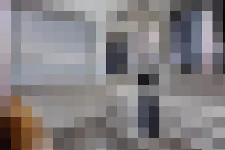 Bastiaan de Poorterstraat 4 Rosmalen thumbnail 29