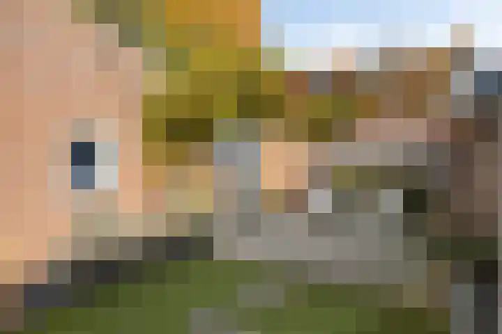 Bastiaan de Poorterstraat 4 Rosmalen thumbnail 32