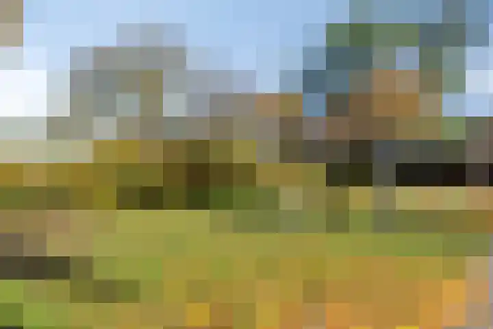 Bastiaan de Poorterstraat 4 Rosmalen thumbnail 38