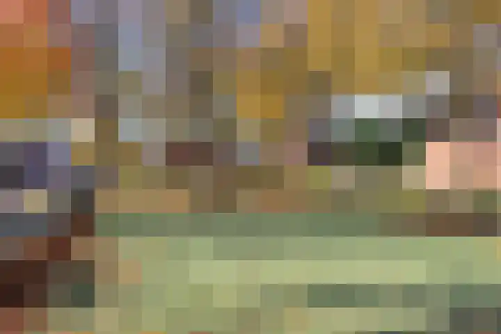 Bastiaan de Poorterstraat 4 Rosmalen thumbnail 39