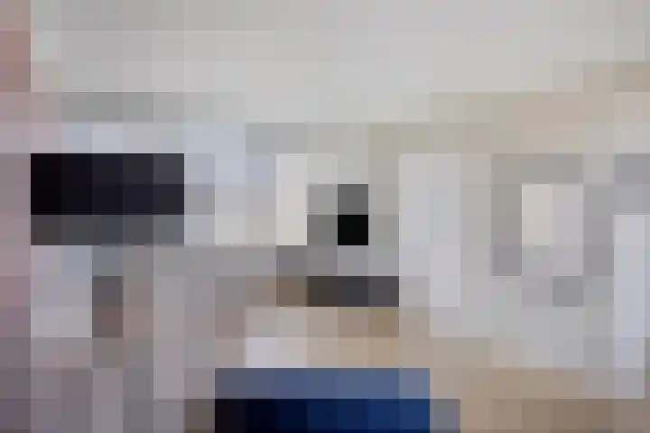 Bastiaan de Poorterstraat 4 Rosmalen thumbnail 4