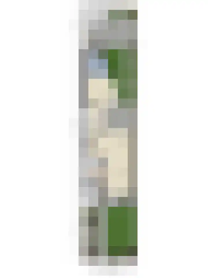 Bastiaan de Poorterstraat 4 Rosmalen thumbnail 41
