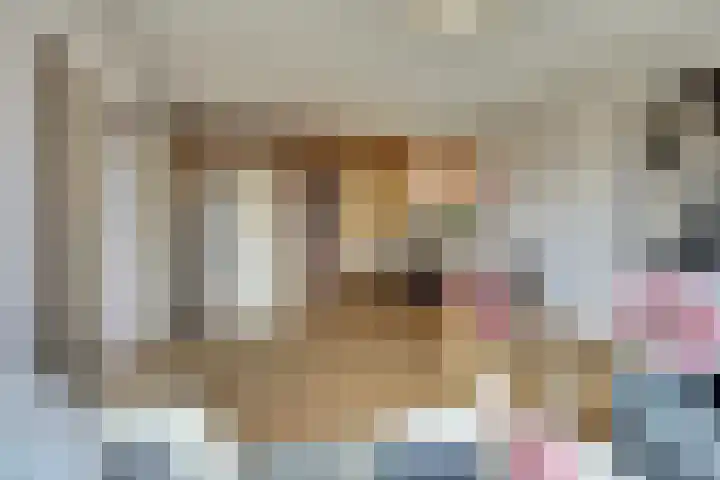 Bastiaanpoort 34 Delft thumbnail 14