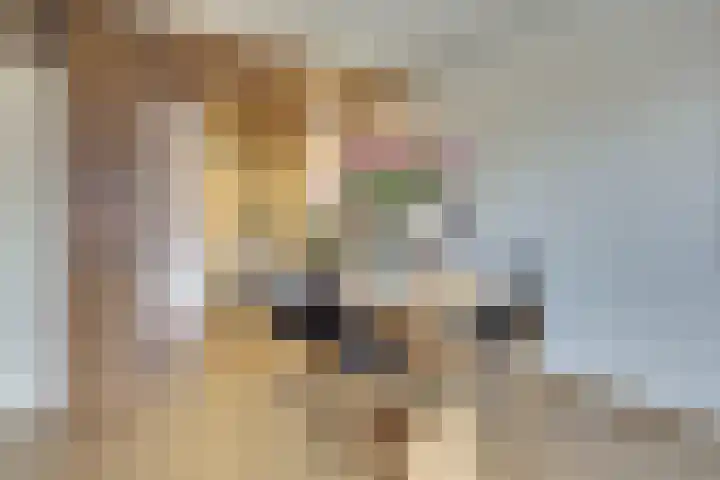 Bastiaanpoort 34 Delft thumbnail 17