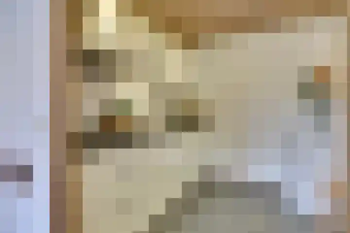 Bastiaanpoort 34 Delft thumbnail 22