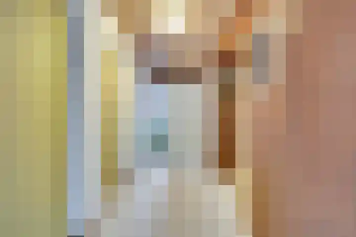 Bastiaanpoort 34 Delft thumbnail 9