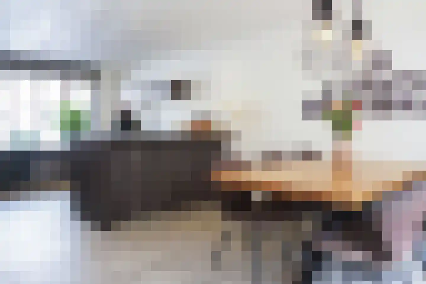 Bastiaansblok 42 Bergen op Zoom thumbnail 11