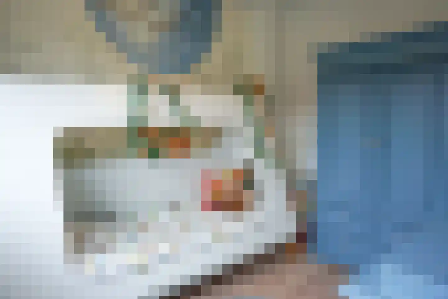 Bastiaansblok 42 Bergen op Zoom thumbnail 17