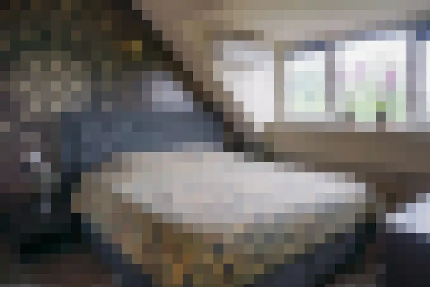 Bastiaansblok 42 Bergen op Zoom thumbnail 4