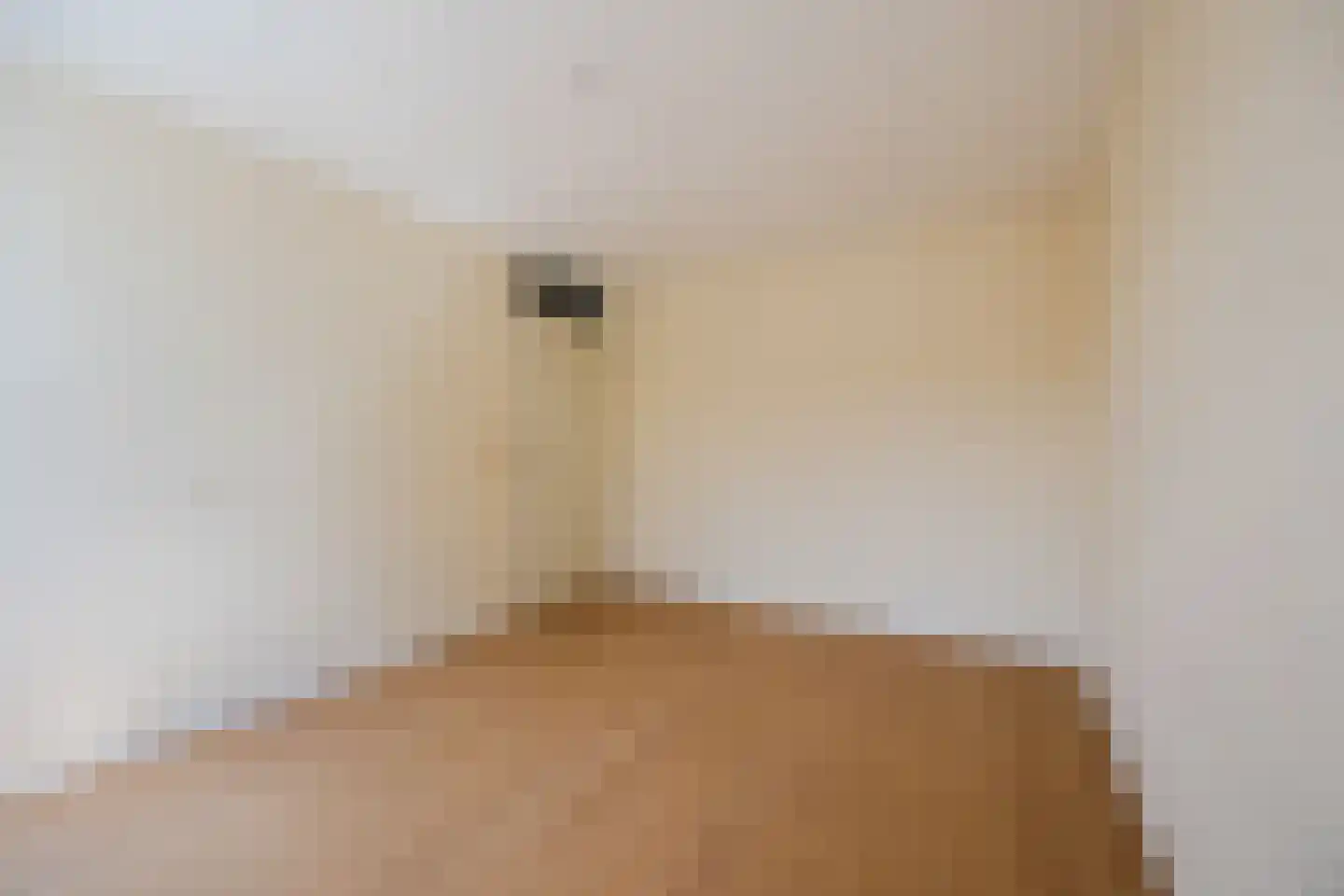 Bastiaansblok 43 Bergen op Zoom thumbnail 16
