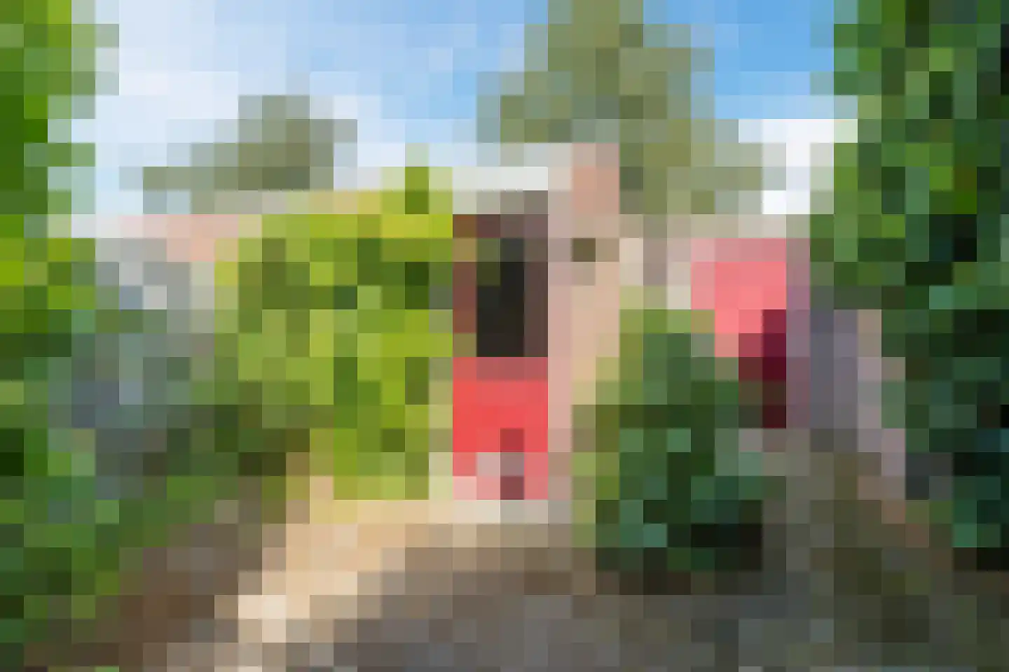 Bastiaansblok 43 Bergen op Zoom thumbnail 27