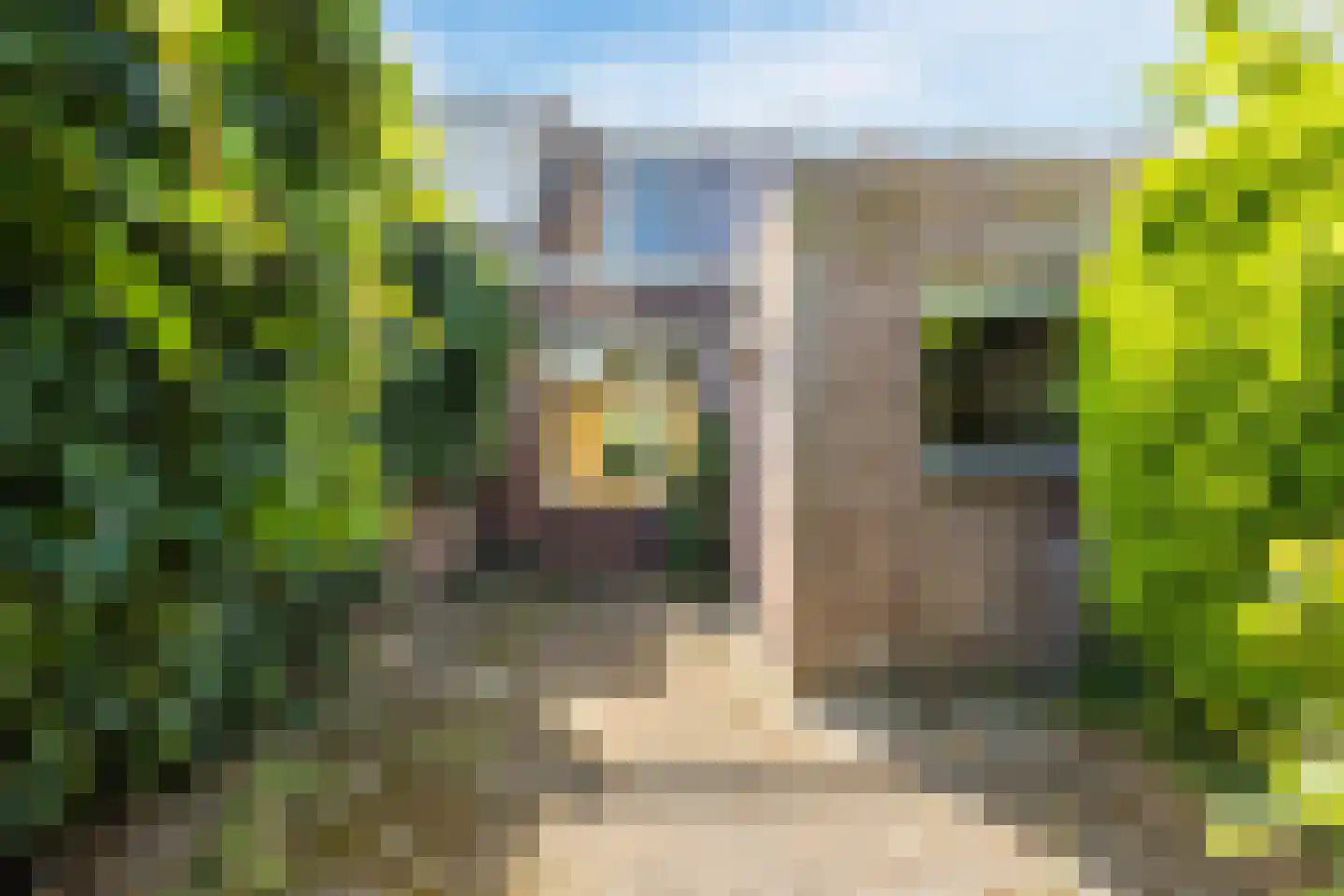 Bastiaansblok 43 Bergen op Zoom thumbnail 5