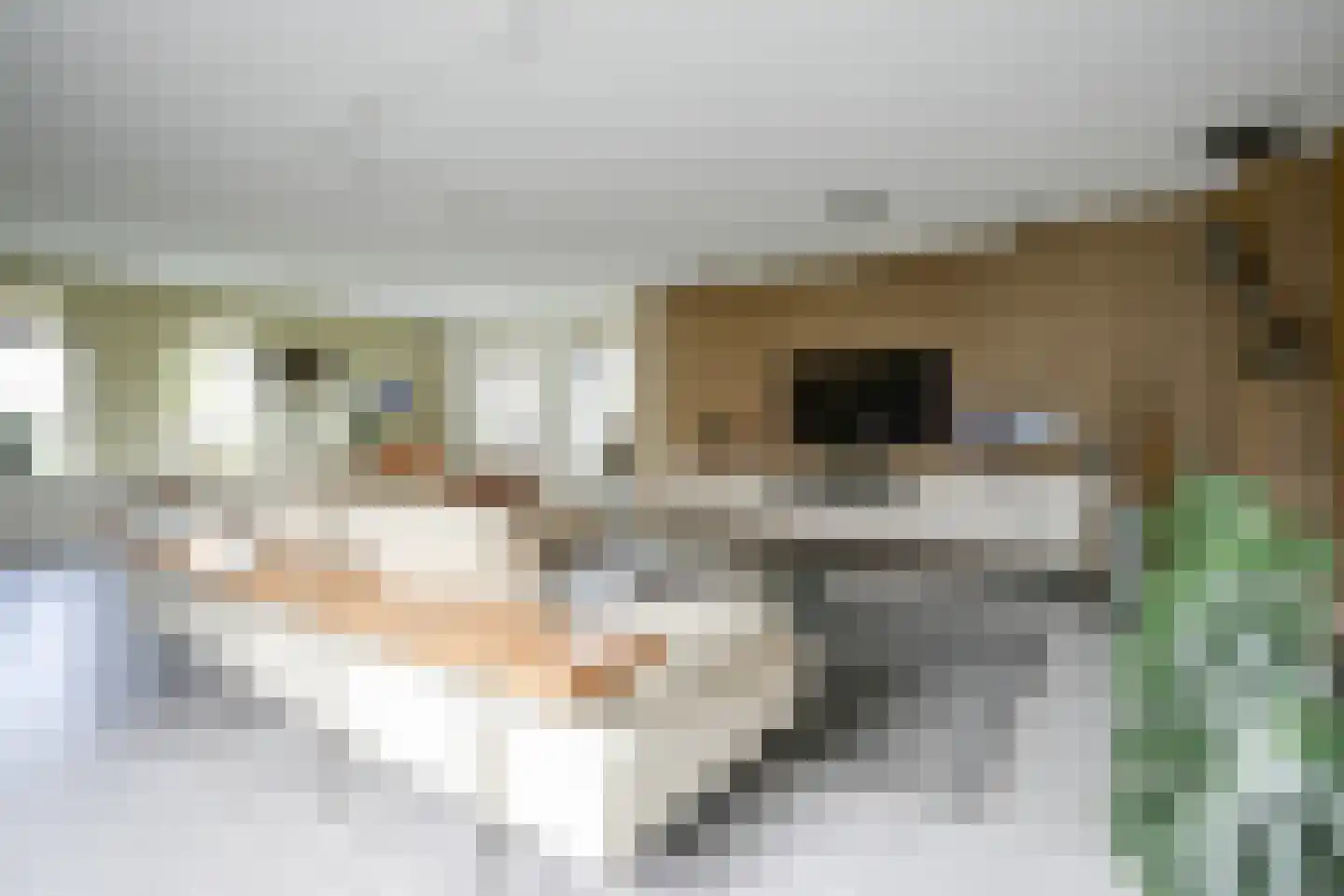 Bastille 12 Berkel en Rodenrijs thumbnail 12