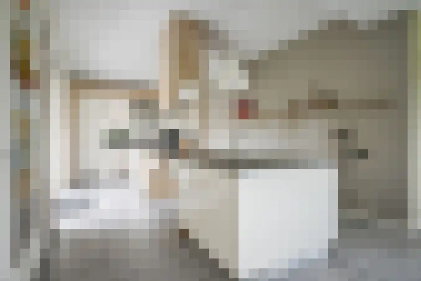 Bastille 12 Berkel en Rodenrijs thumbnail 17