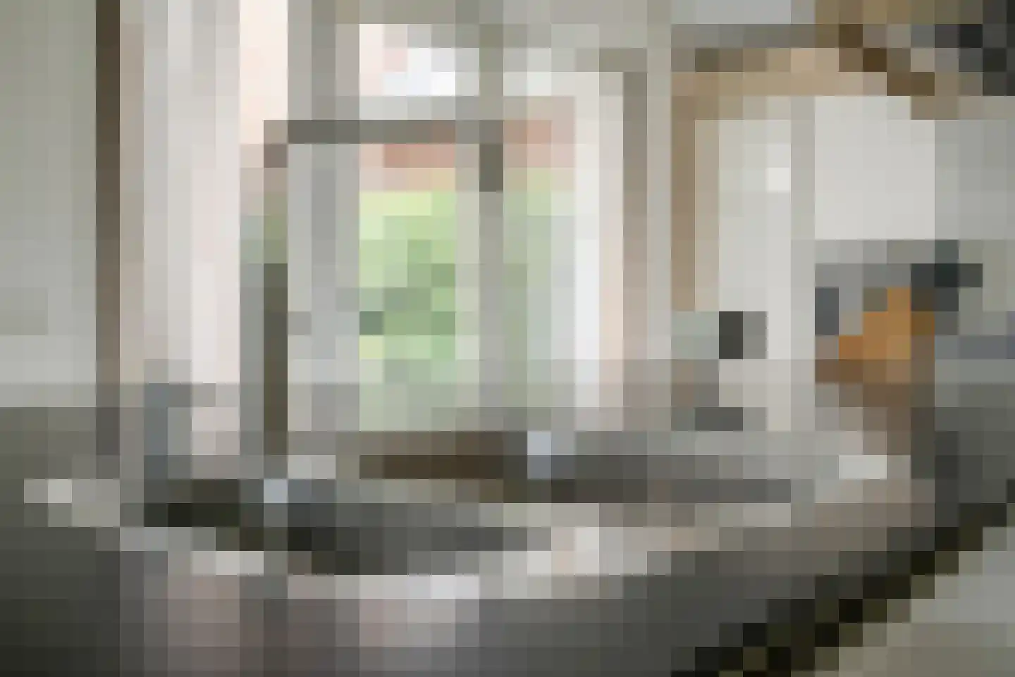 Bastille 12 Berkel en Rodenrijs thumbnail 20
