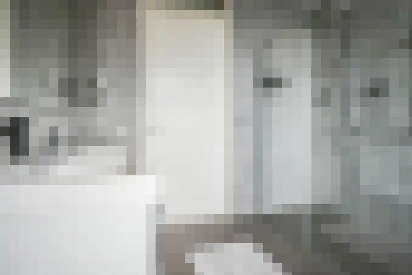 Bastille 12 Berkel en Rodenrijs thumbnail 28